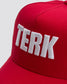 TERK 3D EMBROIDERY LOGO HAT